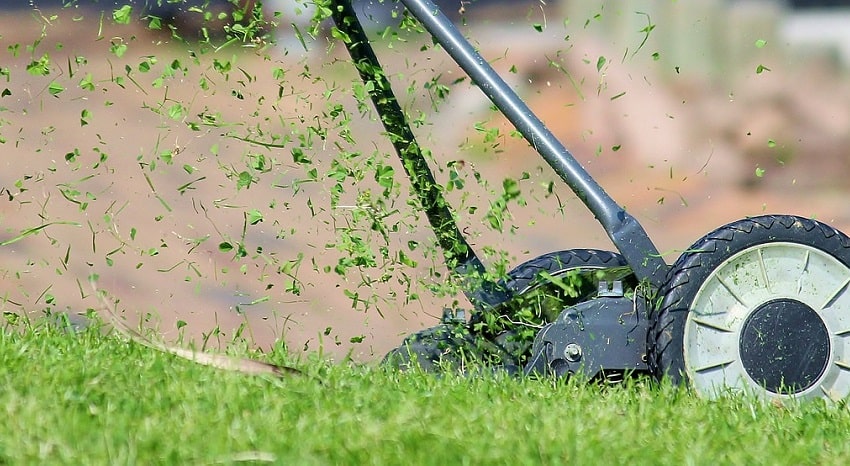 Come organizzare una perfetta grigliata in giardino - Pierucci Agricoltura