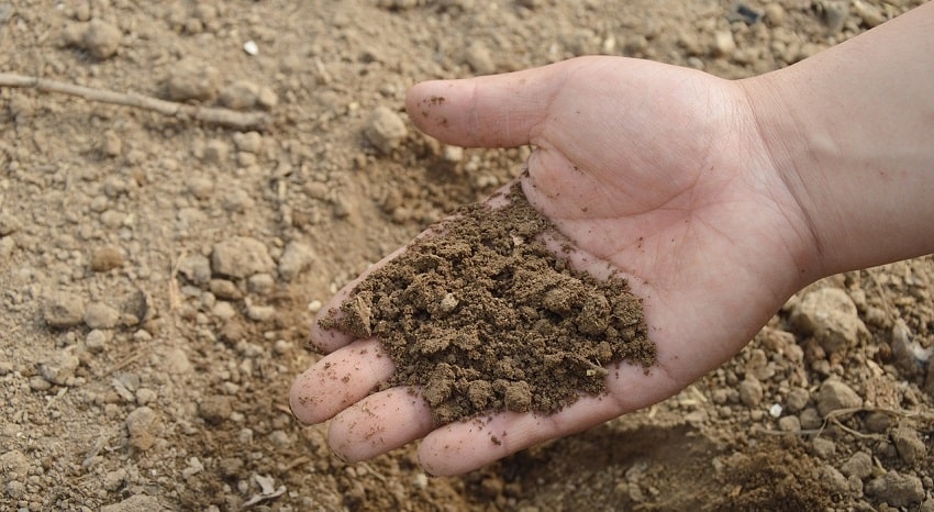 Concime - Concimi NPK: caratteristiche e utilizzo