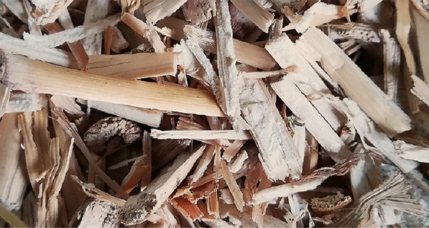 Miscanthus - La pacciamatura con materiali naturali: quali sono i migliori? - Pierucci Agricoltura