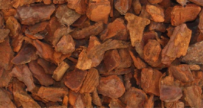 Corteccia - La pacciamatura con materiali naturali: quali sono i migliori? - Pierucci Agricoltura