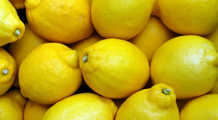Limoni gialli - Come potare i limoni: trucchi e consigli