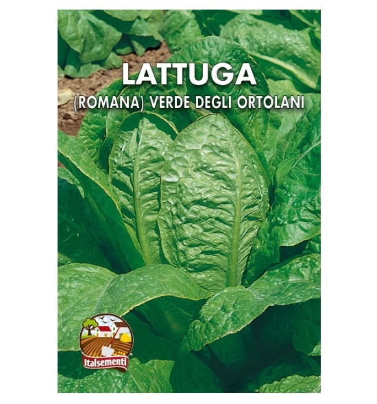 LA012 Lactuca Sativa Lattughe Semi Lattuga Romana Verde degli ortolani 3000 Sementi Circa Semi agricoli